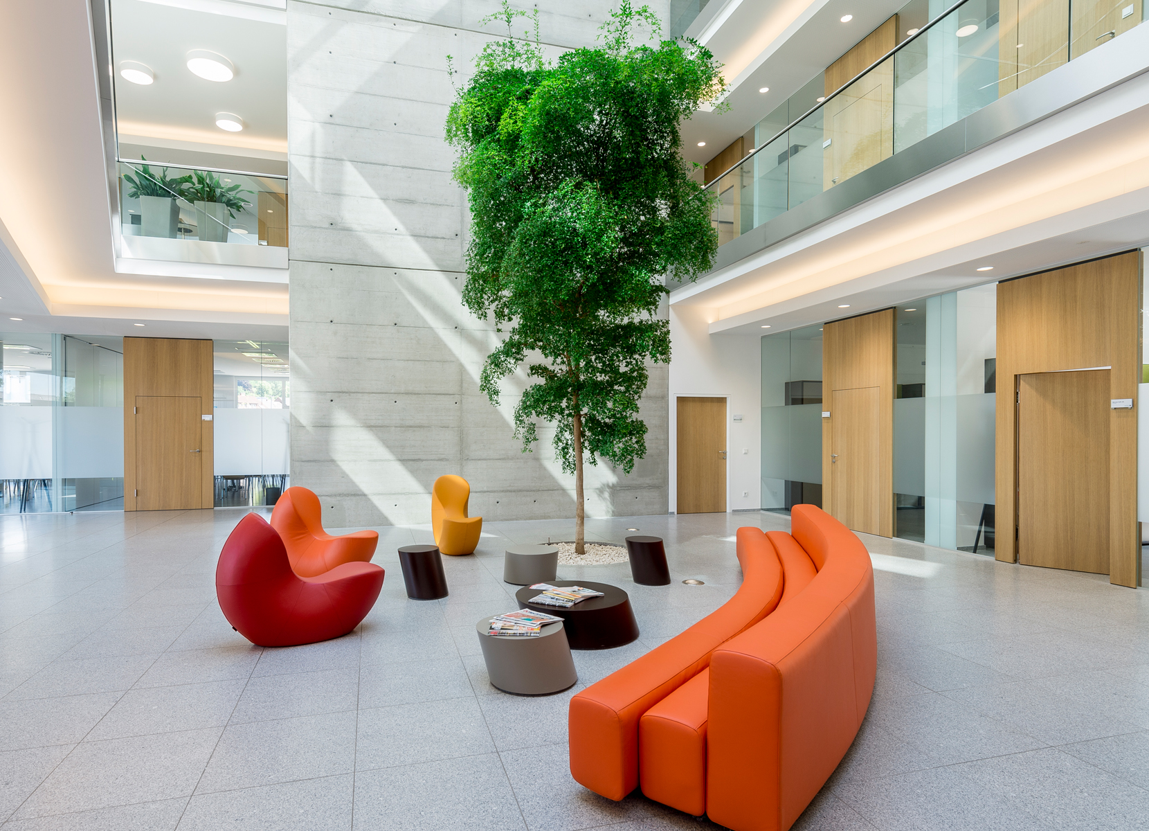 Indoor Baum